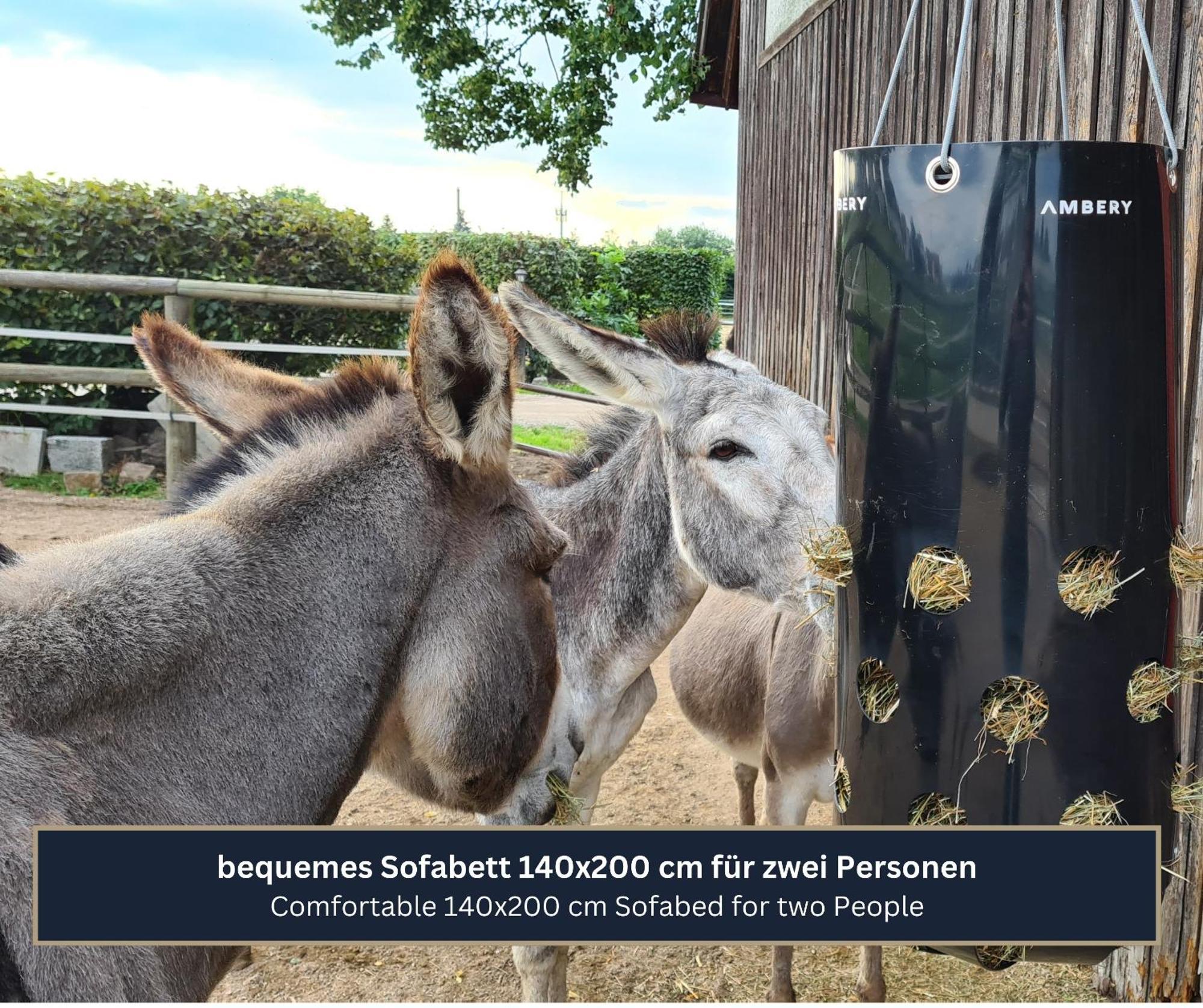 Ferien- Und Messewohnung Am Ponyhof Nürnberg